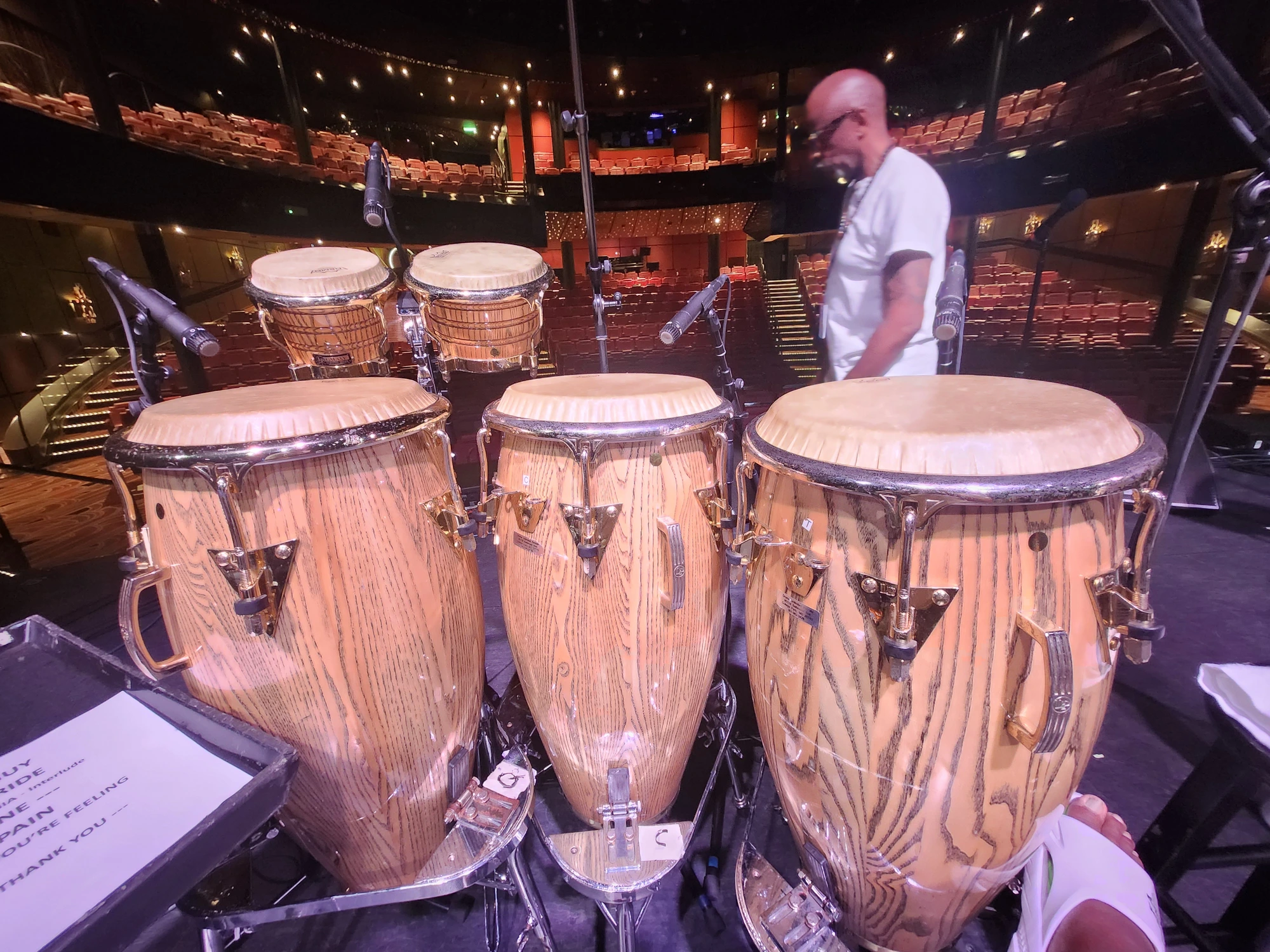 Percussionist behind the congas facing the theater
