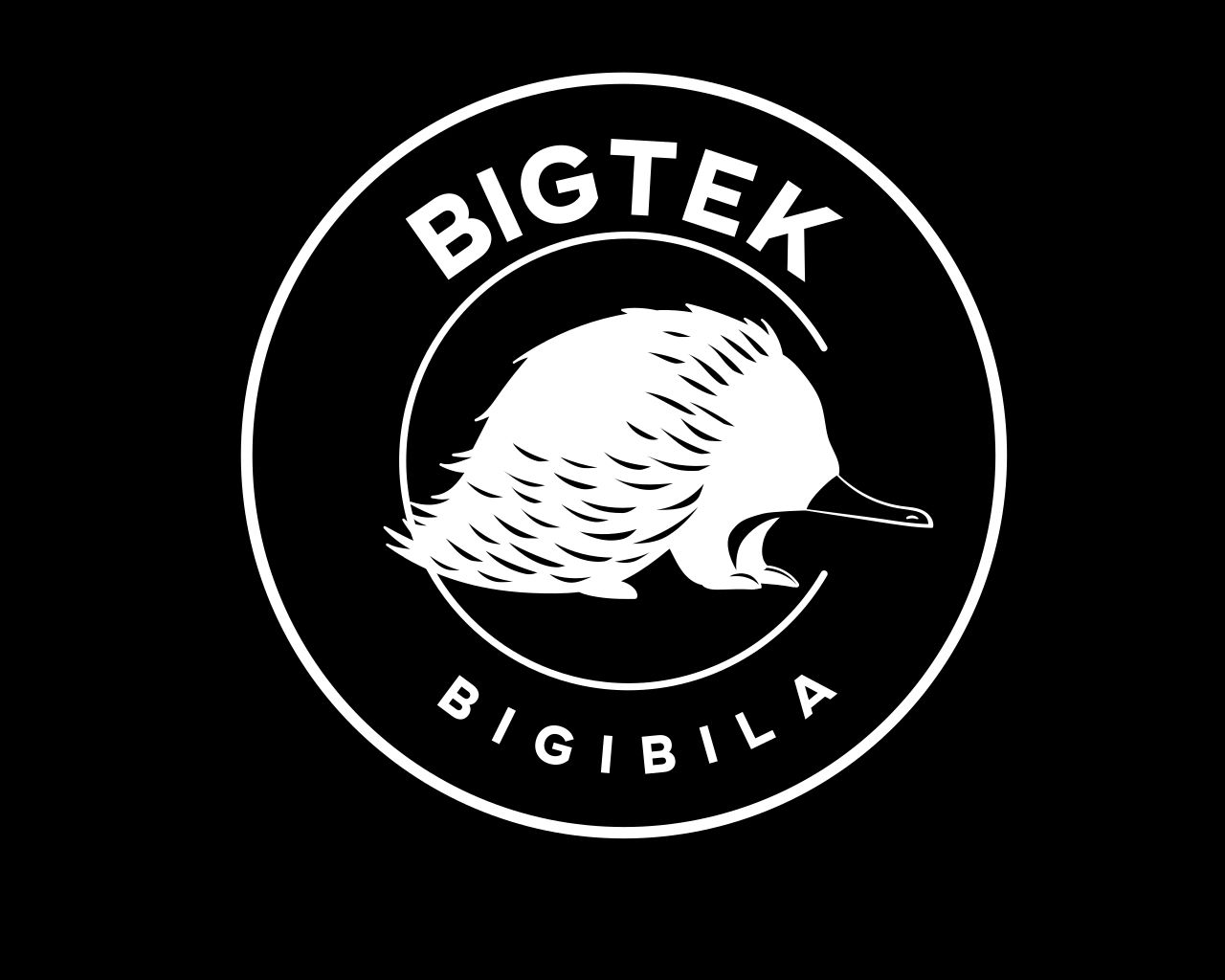 BIGTEK — Bigibila
