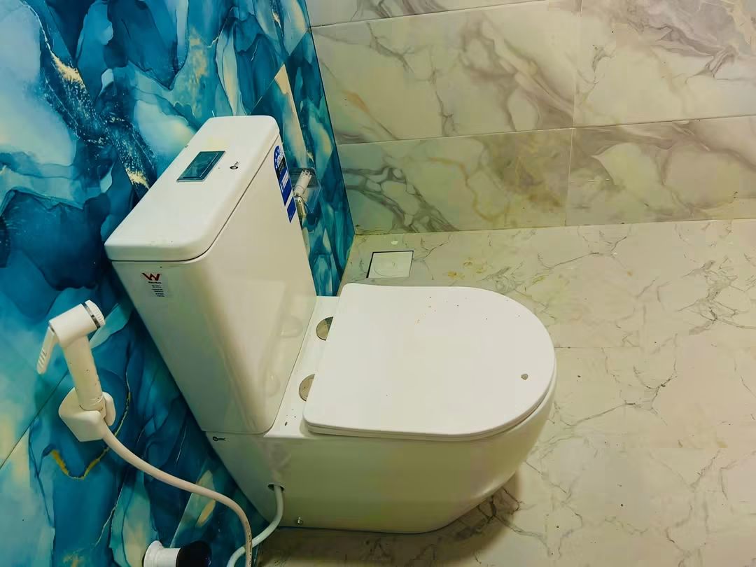 Modern toilet installation