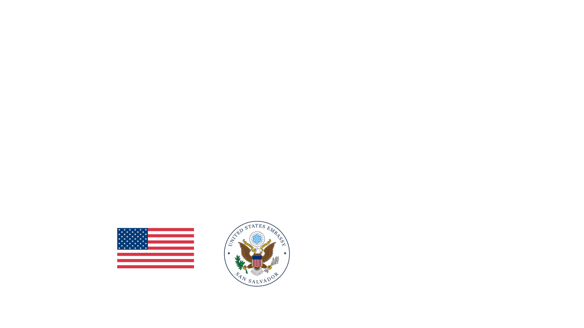 IRL - US Embassy