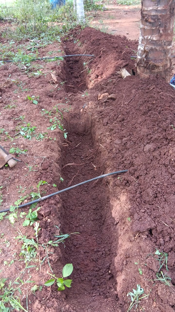 From Inspiration to Action: Our Takeaways from the Permaculture Conference