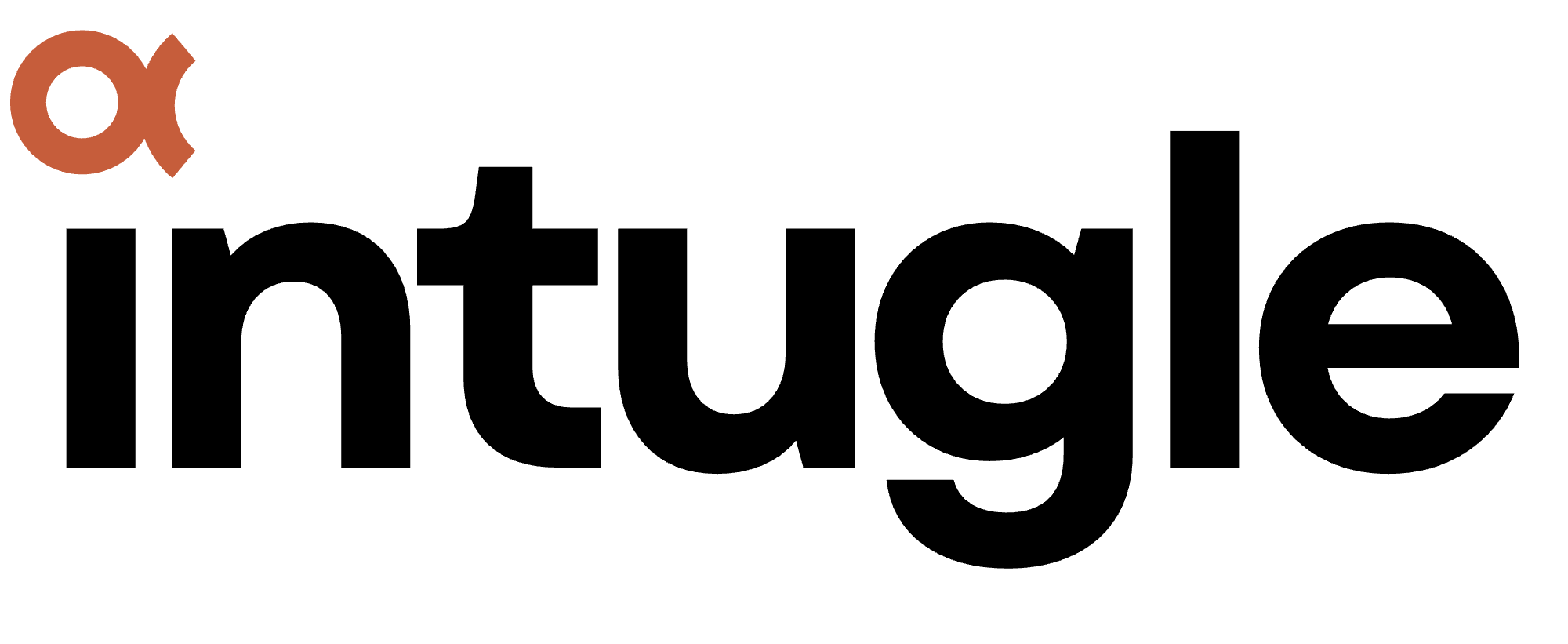 Intugle