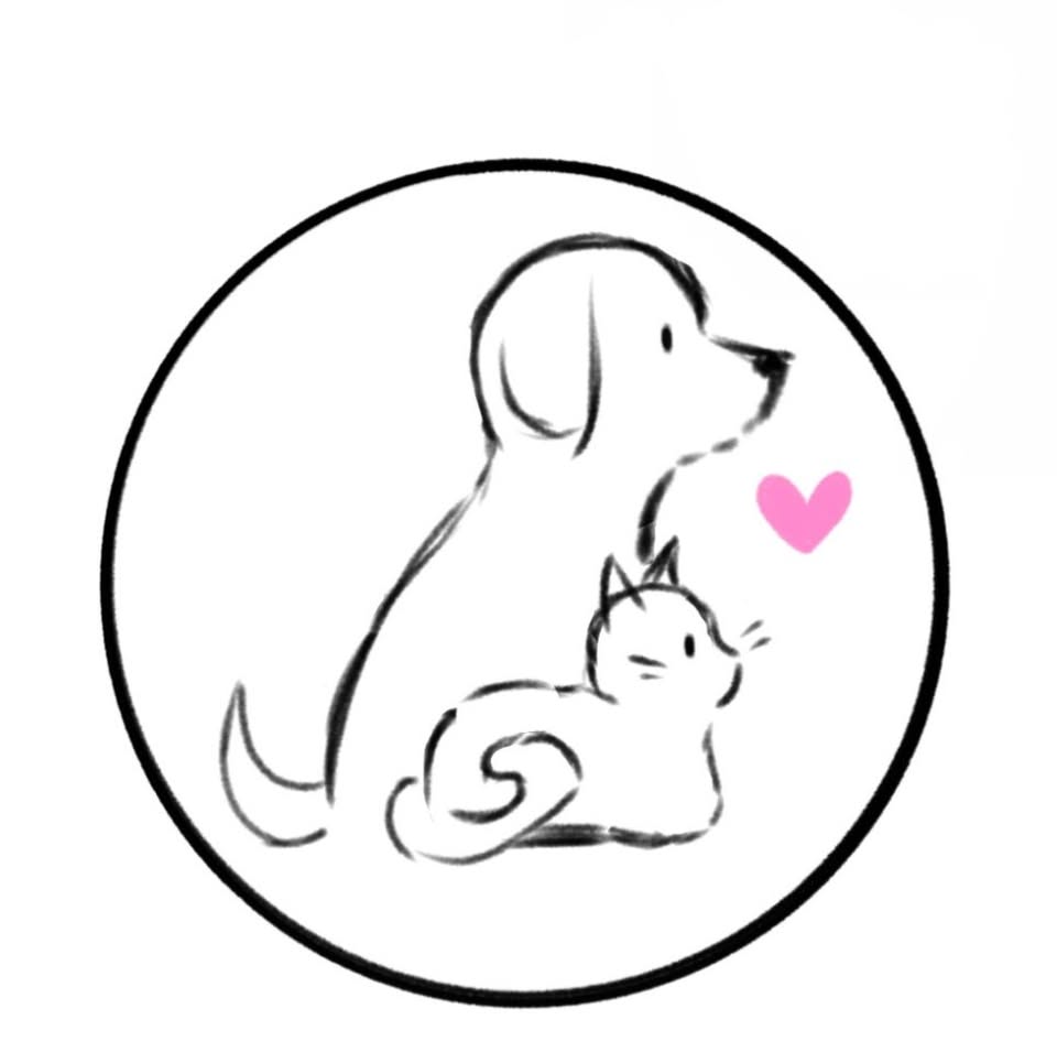 Haven For Tails