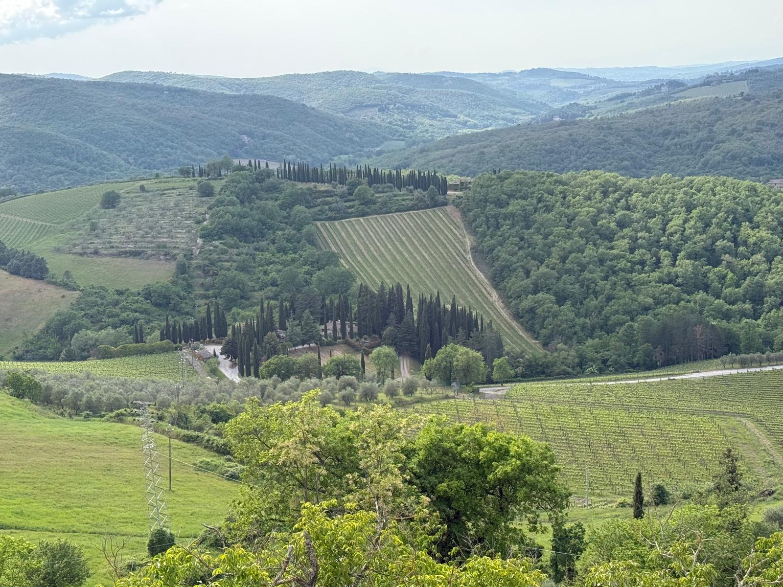Natalie experiencing Florence & Tuscany