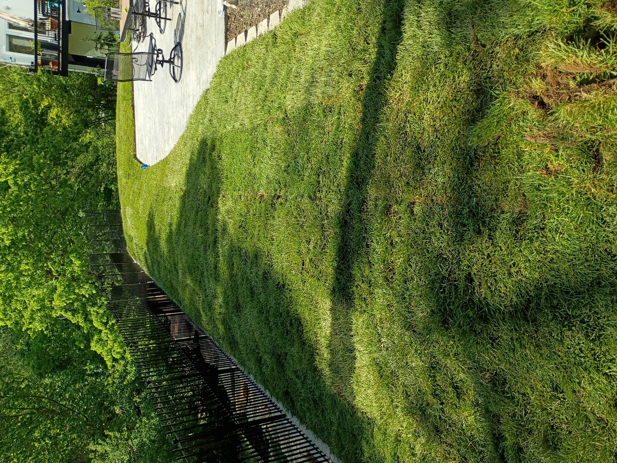 Professional lawn care and mowing service Kansas City