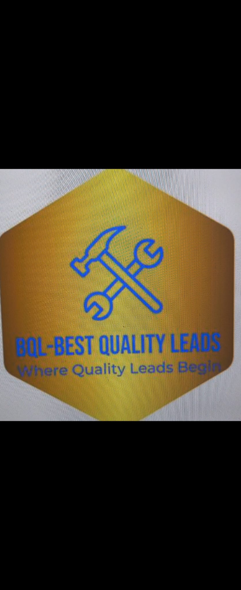 BQL Leads
